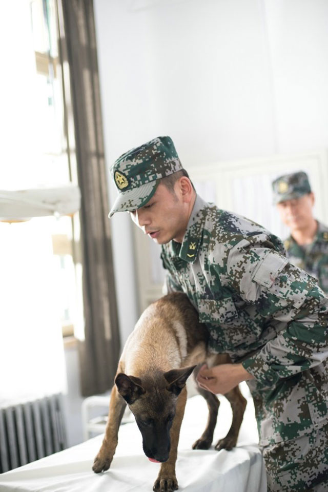 電視劇《神犬奇兵》全集劇照-風尚娛樂http://news.fengsung.com/yule/