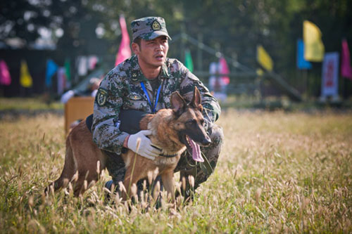 電視劇《神犬奇兵》全集劇照-風尚娛樂http://news.fengsung.com/yule/