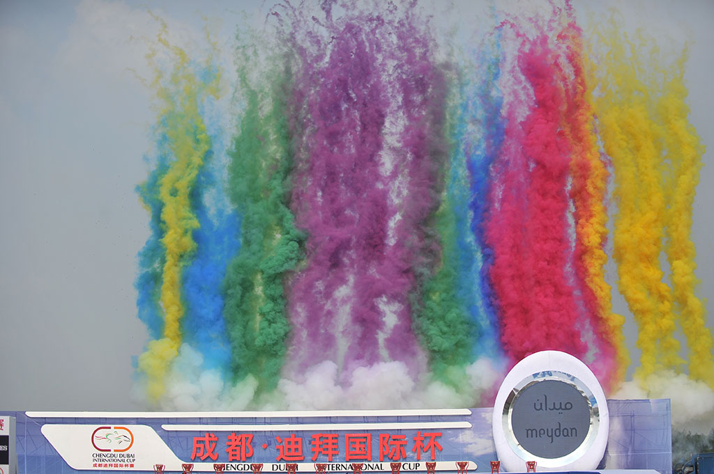 2014中國成都-溫江迪拜國際杯賽馬經典賽金激情上演
