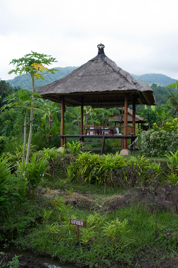 Alila Manggis 將于巴里舉行美食節