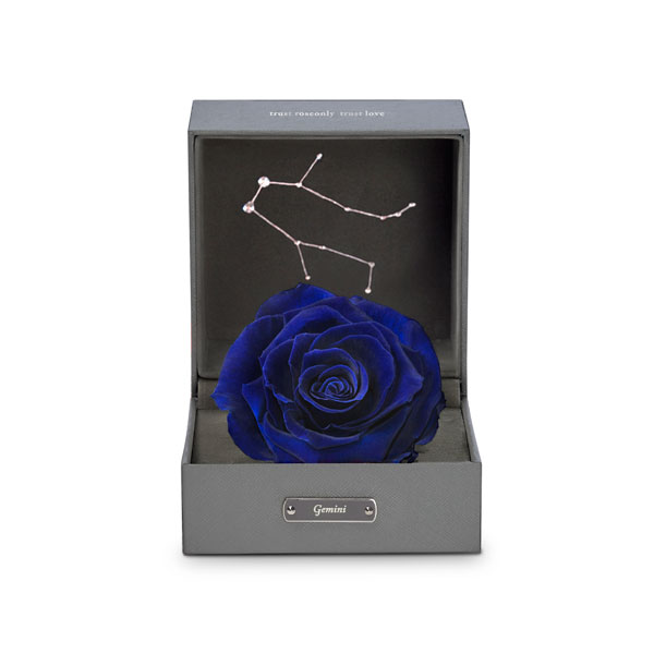 roseonly甄選父親節禮物 用玫瑰致意如山父愛