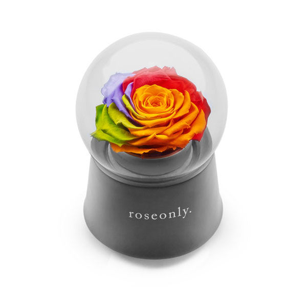 roseonly 2016情人節至臻好禮