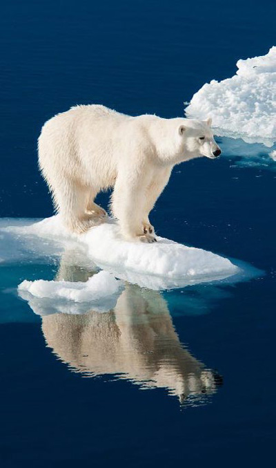 極旅行呈獻北極點「世界之巔·破冰之旅」