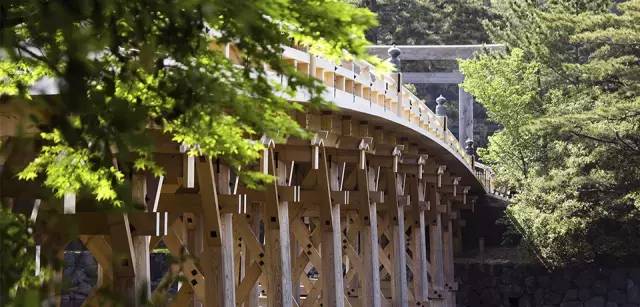 日本夏の旅行，難訂的奢華酒店全在這里！