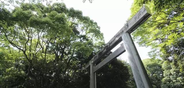 日本夏の旅行，難訂的奢華酒店全在這里！