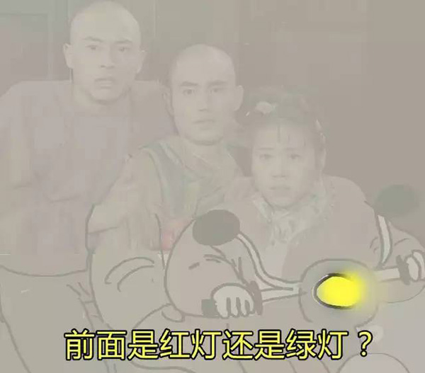 春節特惠 | 開著快艇追海豚，去毛里求斯過一個清新暖冬！