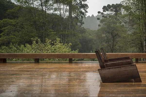 雨林中的晶瑩 玻璃豪宅的清涼風景