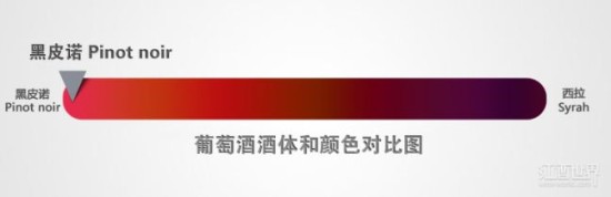 黑皮諾非常善變，因產區和年份的不同，它會表現出迥然不同的風味，而不同國家出產的黑皮諾葡萄酒也各具自己的特色。