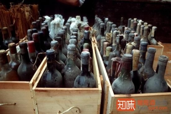 揭老酒陳年背后的規律