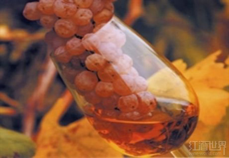 意大利甜葡萄酒“花名冊(cè)”