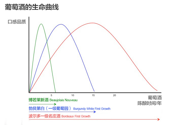 焦點問答：葡萄酒如何陳年和儲存