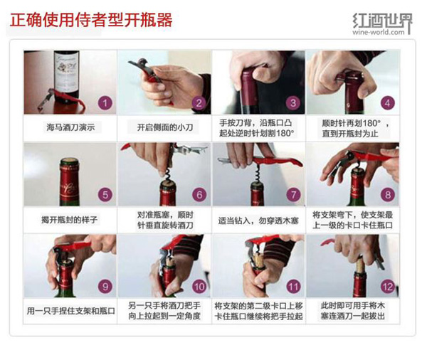 每個人都應該知道的侍酒常識