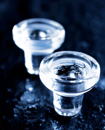 入門：瓶塞與葡萄酒質量有必然聯系嗎？