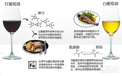“紅酒配牛排”的真實原因，一張圖就夠用了！