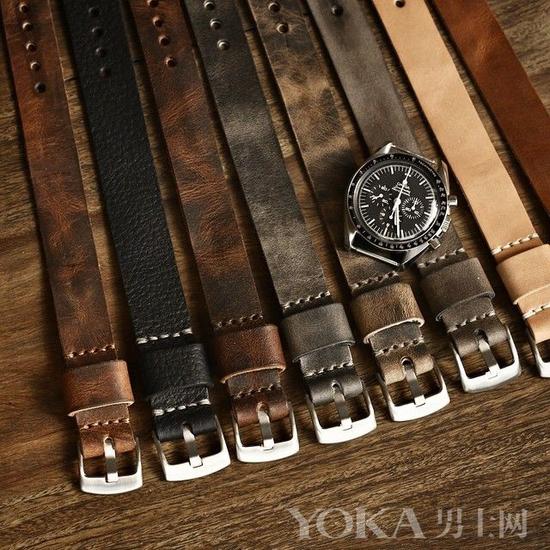皮質表帶