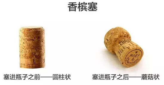 其實起泡酒的酒塞在被塞入酒瓶之前也是圓柱形的