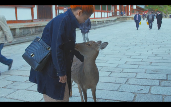 Agoda安可達帶你潛入四大旅行圣地
