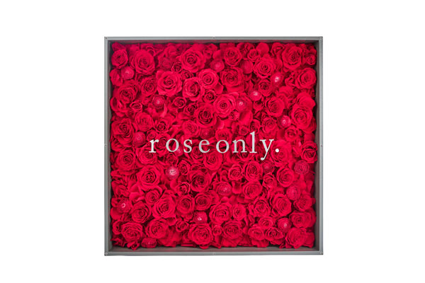劉詩詩幸福依偎roseonly巨型定制永生玫瑰，婚禮在即難掩甜蜜