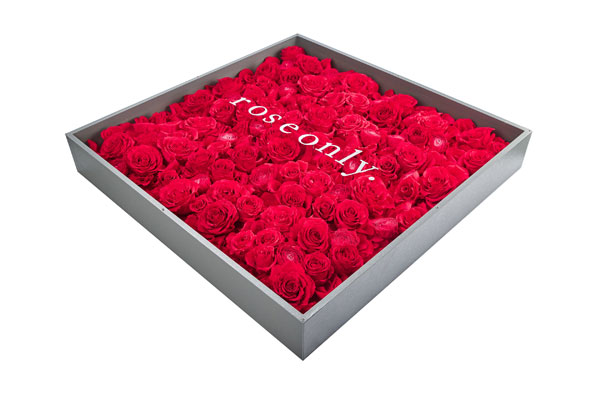 劉詩詩幸福依偎roseonly巨型定制永生玫瑰，婚禮在即難掩甜蜜
