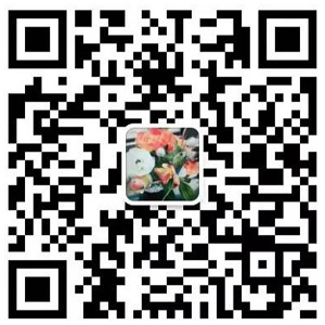 春節特惠 | 開著快艇追海豚，去毛里求斯過一個清新暖冬！