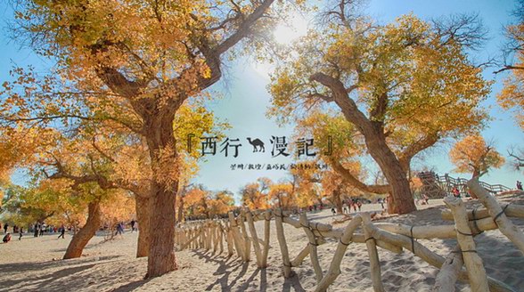 錯過就要等一年，再過不久，這里將進入全年中最美麗的時節！
