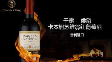 歡度卡本妮蘇維翁節， 領略“紅葡萄之王”的風采