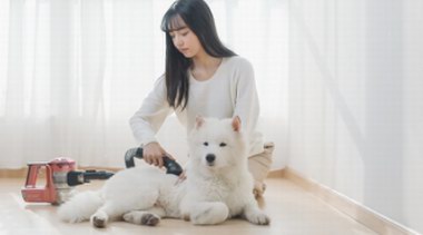 美的P3 Lady無線吸塵器3月首發 助推第26屆AWE展順