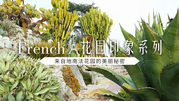 Lafuma French?花園印象系列，定格旅途花漾時光