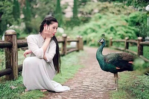 孫思晗美才女河南創(chuàng)業(yè)，上善若水人力資源、慈善基金雙落地！