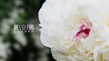 麓安娜，于牡丹花海中綻放的中國護膚新勢力