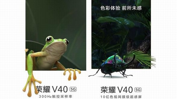 榮耀V40售價遭線下門店曝光：8G+128GB定價3999元！