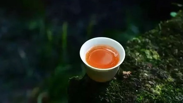 這么美的茶語，哪句讓你動容？ 