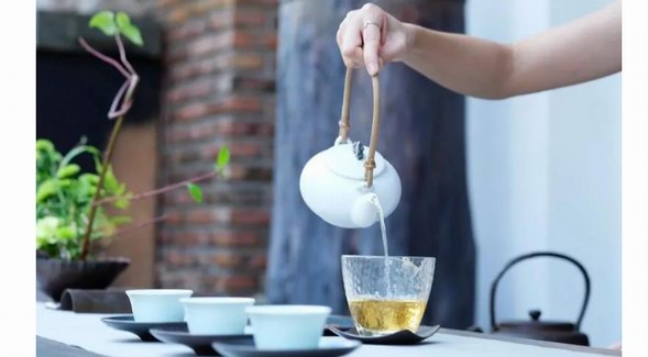白茶是什么茶？25個(gè)關(guān)于白茶的”小白“知識(shí)
