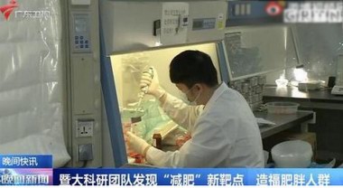 白細(xì)胞介素可直接燃燒脂肪靶點(diǎn)被發(fā)現(xiàn)，躺平減肥不是夢(mèng)