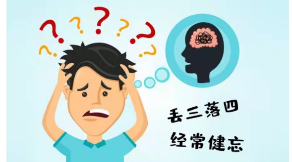 補腎抗衰系列談——記憶力下降？神經衰老能“截住”！