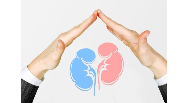 補腎精抗衰老系列談——生殖衰老降低了幸福指數