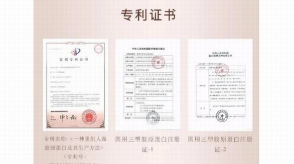 基因工程新突破：人源化膠原蛋白，開啟美容護膚新時代
