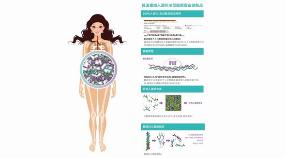 錦波生物獲多項世界首創，1：1完美還原人體膠原蛋白