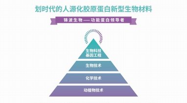 人源化III型膠原蛋白，重組護膚領域新格局