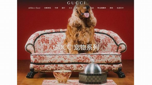 寵物奢侈品成潮流，Gucci、LV、愛馬仕等大牌搶灘“它經濟”，一張寵物床賣7萬