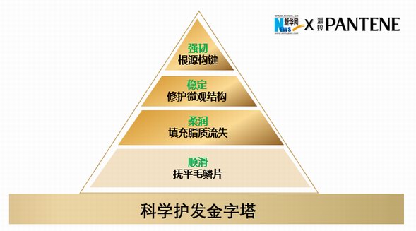 潘婷攜手新華網共同打造《科學護發金字塔》——引領消費者科學護發新風向