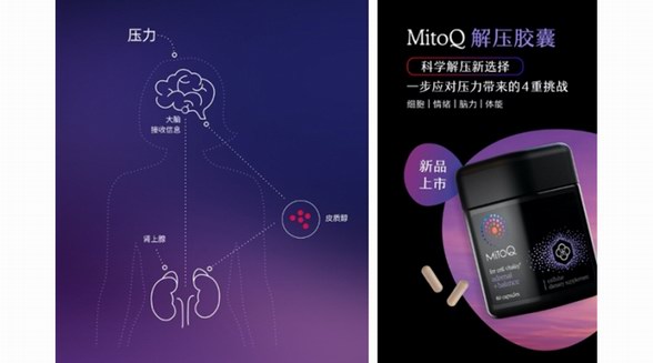 新西蘭MitoQ推出解壓膠囊,實現科學解壓新選擇