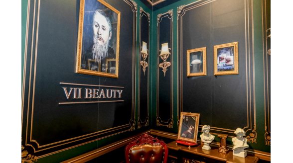 VIIBEAUTY中國國際進口博覽會展館正式開館！