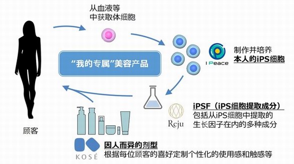 高絲、I Peace、Reju開展戰略性合作