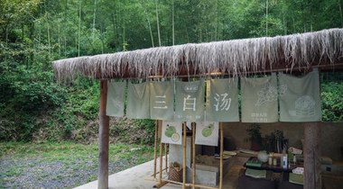 真不二引領東方養生新風尚，打造國民身心健康生態