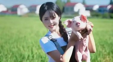 辭職回家養(yǎng)豬空姐發(fā)聲：豬場(chǎng)特臭，待一天人都腌入味了