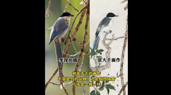 李現(xiàn) “打鳥(niǎo)”作品與張大千畫(huà)作神似  生態(tài)藝術(shù)引跨時(shí)空對(duì)話