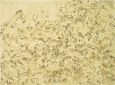 梵高作品《峽谷》下面隱藏有另外一幅描繪野生植物的油畫。