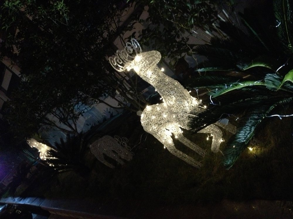 浦江國(guó)際開(kāi)元大酒店: 圣誕點(diǎn)燈啟動(dòng)溫暖計(jì)劃