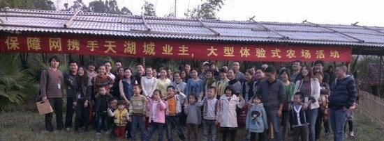 從裝修保障網發展，看立體式營銷模式